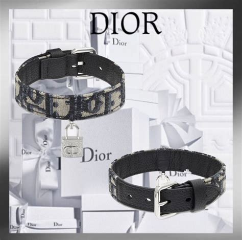 pink dior dog collar|Dior dog carrier.